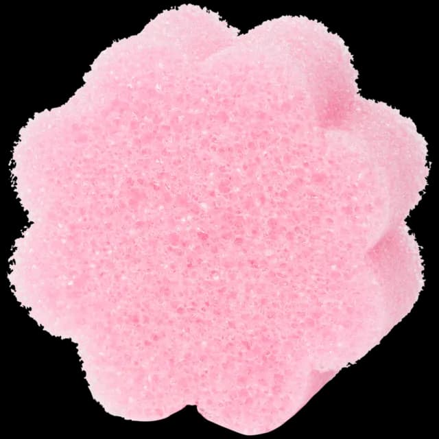 Éponge CleanRite Super Scrubby