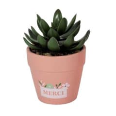 PETITE PLANTE ARTIFICELLE-...
