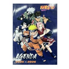 DRAGON BALL Z AGENDA LICENCE