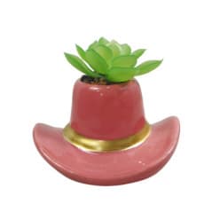 FLOURISH SUCCULENTE CHAPEAU COWBOY