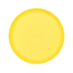 JOYFUL SUMMER ASSIETTE PLASTIQUE STRIE 20CM