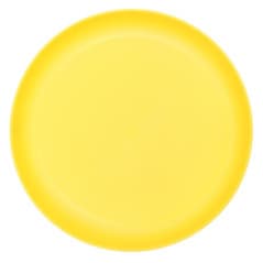JOYFUL SUMMER ASSIETTE PLASTIQUE STRIE 25CM