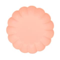 ASSIETTE PLASTIQUE IRIS...