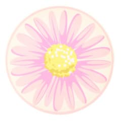 GARDEN LIFE ASSIETTE PLASTIQUE D26CM...