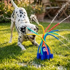 CHILLI PAWS ARROSEUR POUR CHIEN PIEUVRE