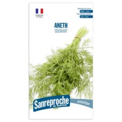 GRAINES ANETH ODORANT