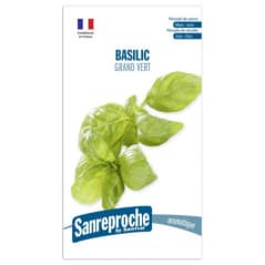 GRAINES BASILIC GRAND VERT