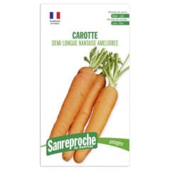 GRAINES CAROTTE DEMI