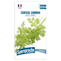 GRAINES CERFEUIL COMMUN