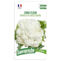 GR CHOU FLEUR TOUTE SAISON