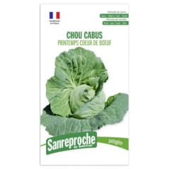 GRAINES CHOU CABUS