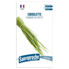 GRAINES CIBOULETTE