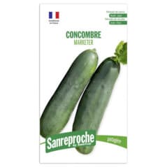 GRAINES CONCOMBRE MARKETER
