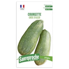 GRAINES COURGETTE GRISE...