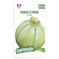 GRAINES COURGETTE RONDE