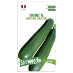 GRAINES COURGETTE VERTE