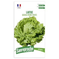 GRAINE LAITUE BATAVIA P.BENITE