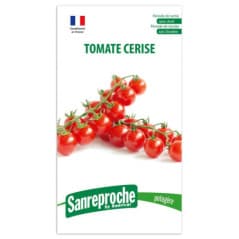 GRAINES TOMATE CERISE