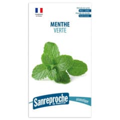GRAINES MENTHE VERTE