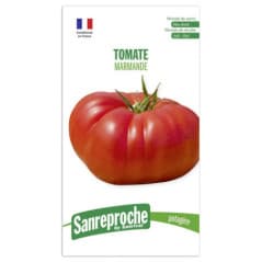 GRAINES TOMATE MARMANDE