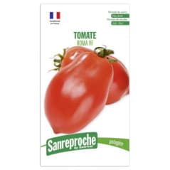 GRAINES TOMATE ROMA VF