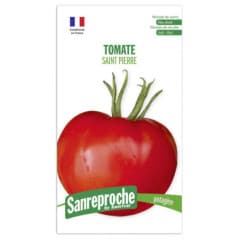 GRAINES TOMATE SAINT PIERRE