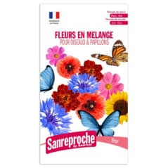 GRAINES MELANGE FLEURS...
