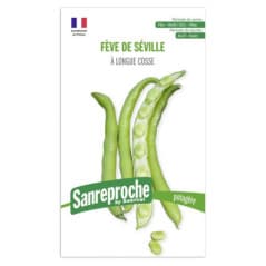 GRAINES FEVE DE SEVILLE