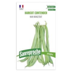 GRAINES HARICOT VERT