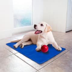 CHILLI PAWS TAPIS CHIEN RAFRAICHISSANT