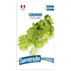 GRAINES CORIANDRE