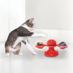 KITTYKINS JOUET CHATTOURNOYANT