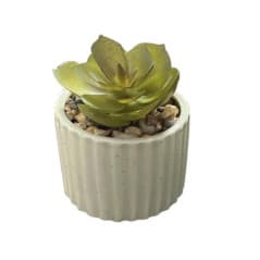 FLOURISH MINI SUCCULENTE POT STRIE