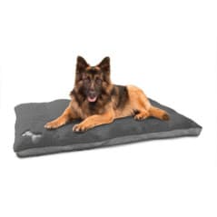 HUND MATELAS POUR CHIEN 130X90X10CM