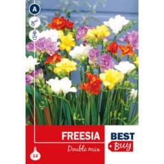 BULBES FRESSIA DOUBLE MIX