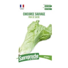 GR CHICOREE SAUVAGE PAIN DE...