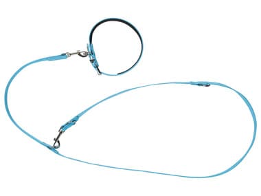 zoofari® Collier et laisse pour chiens, réglable sur 3 positions