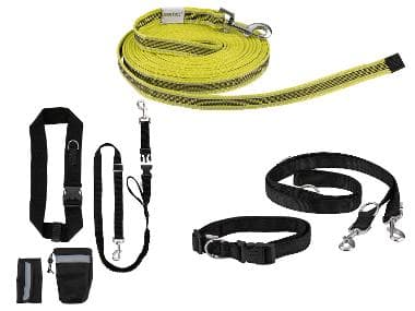zoofari® Laisse ou Collier avec laisse pour chien