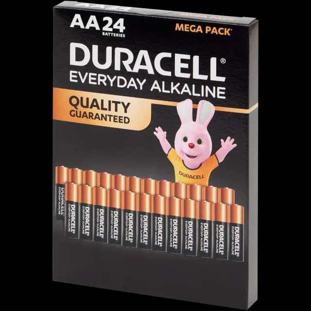 Piles Duracell Everyday Alkaline AA