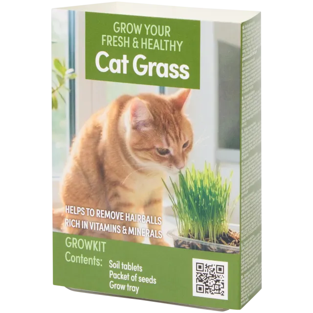 Kit de culture d’herbe à chat