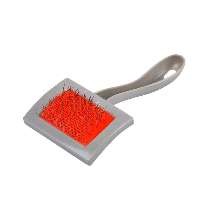 BROSSE PLASTIQUE ET INOX INCURVE CHAT