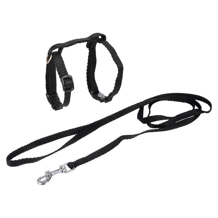 KIT HARNAIS ET LAISSE POUR CHAT 20 A 30CM 120CM NOIR