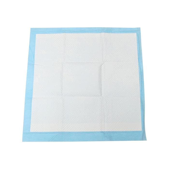 SET 10 TAPIS DE PROPRETE POUR CHIEN 60X60CM